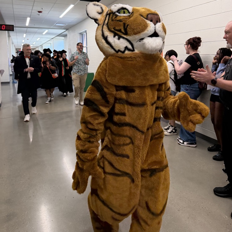 #SeniorWalk