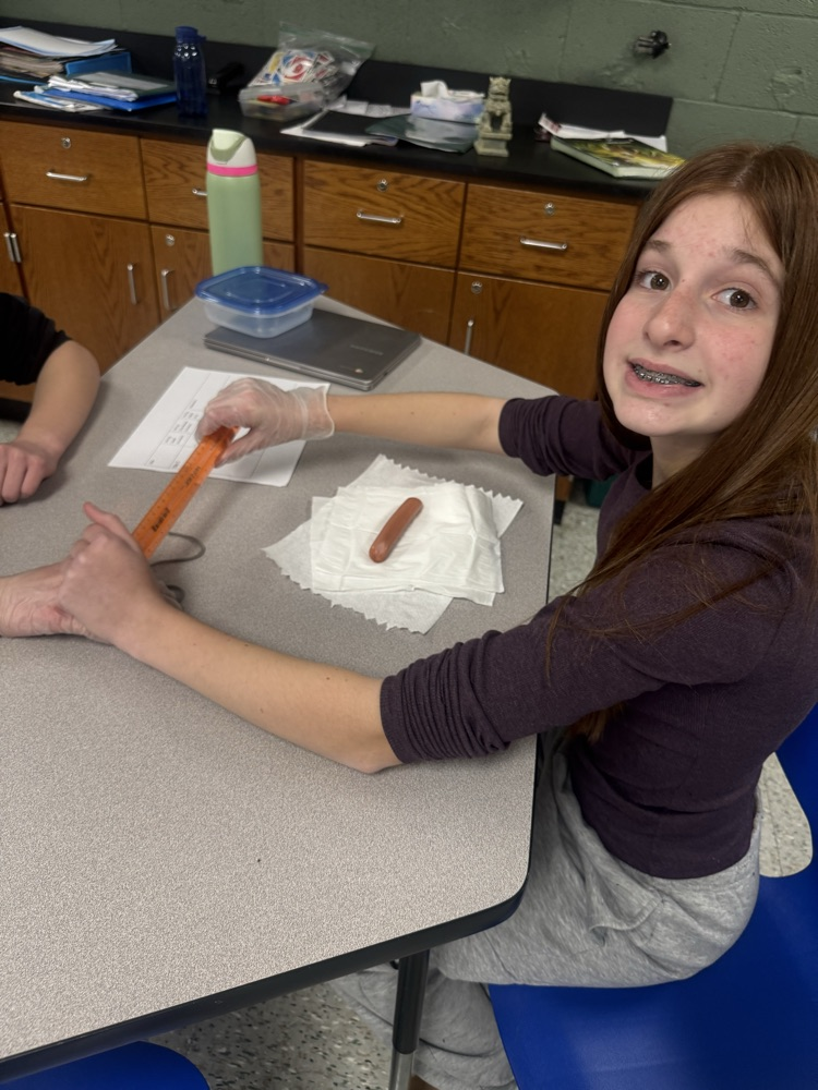 Sixth graders have been studying Ancient Egypt, and along with it, the mummification process! We mummified hotdogs today. Check back with us in 3 weeks to see how they've changed! 