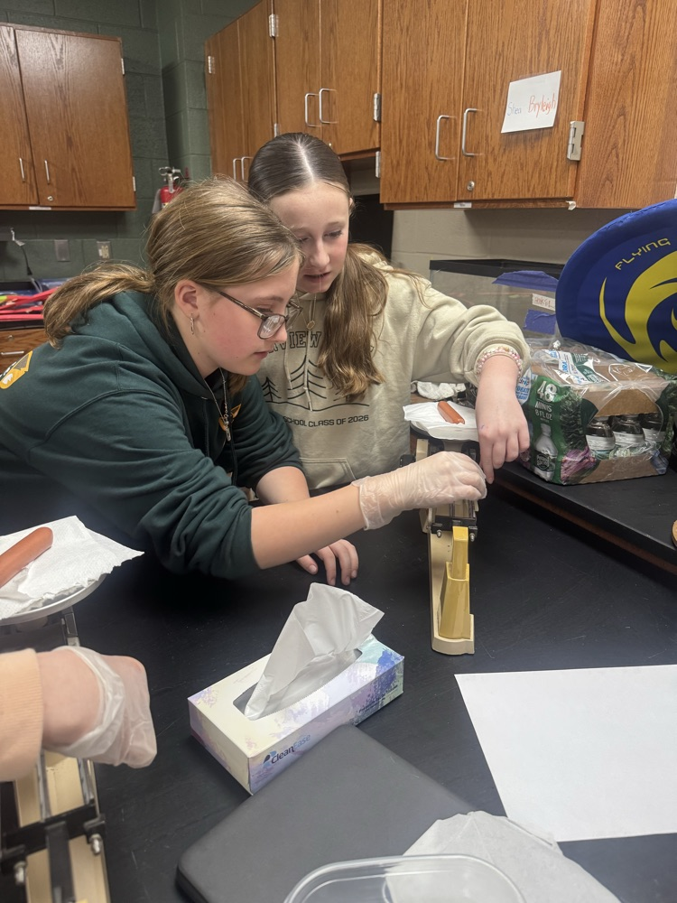 Sixth graders have been studying Ancient Egypt, and along with it, the mummification process! We mummified hotdogs today. Check back with us in 3 weeks to see how they've changed! 