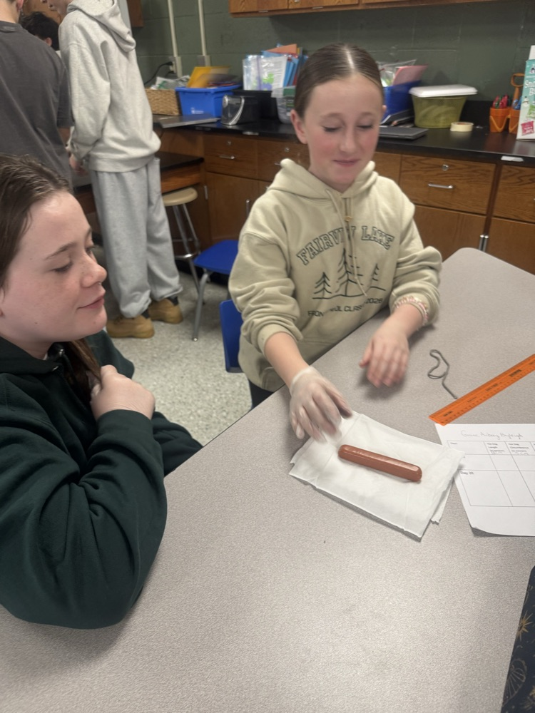 Sixth graders have been studying Ancient Egypt, and along with it, the mummification process! We mummified hotdogs today. Check back with us in 3 weeks to see how they've changed! 