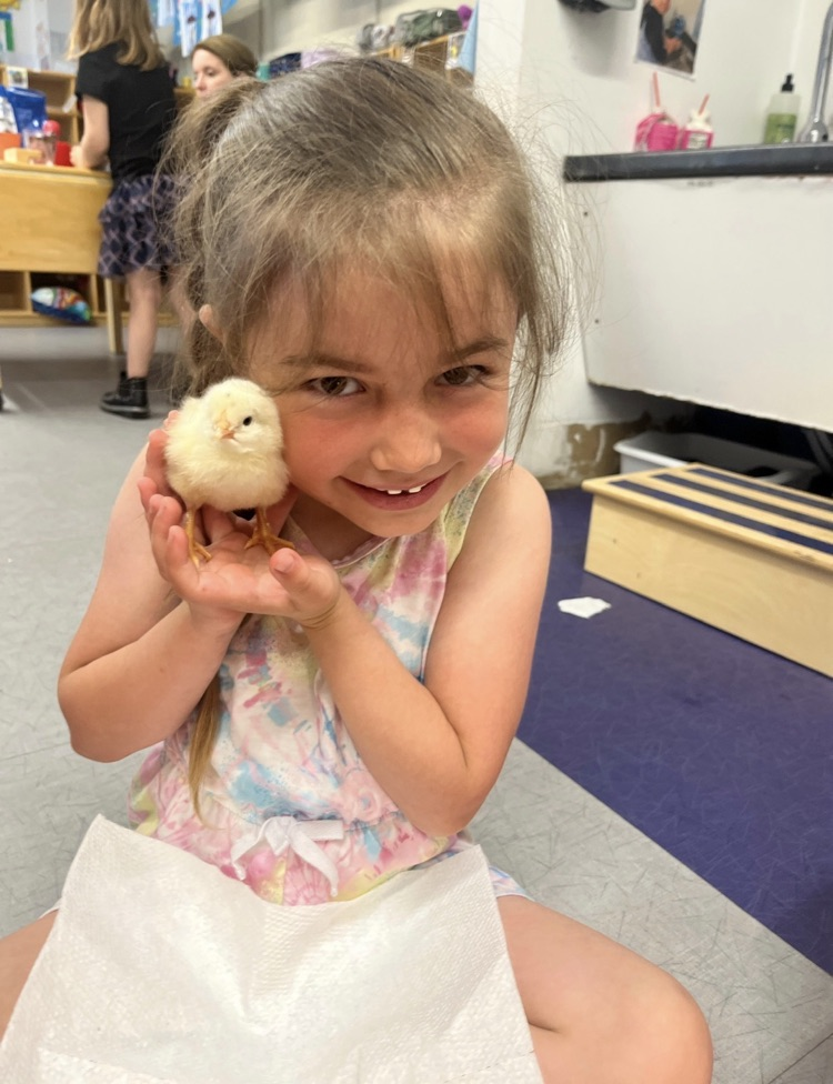 prek