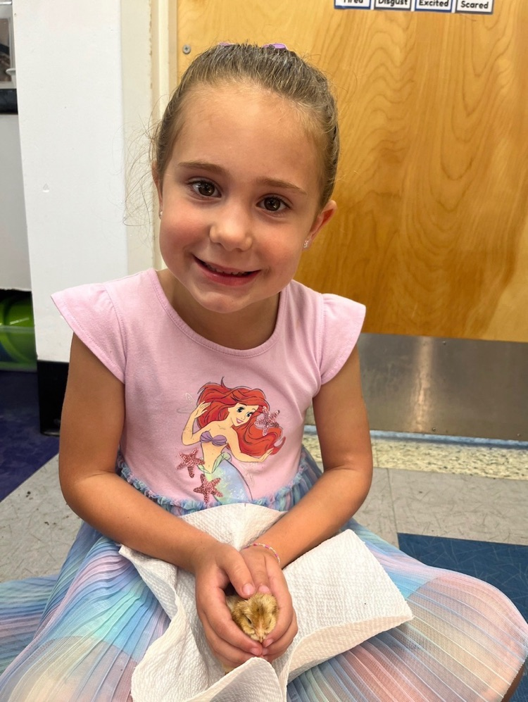 prek