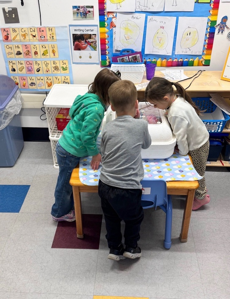 prek