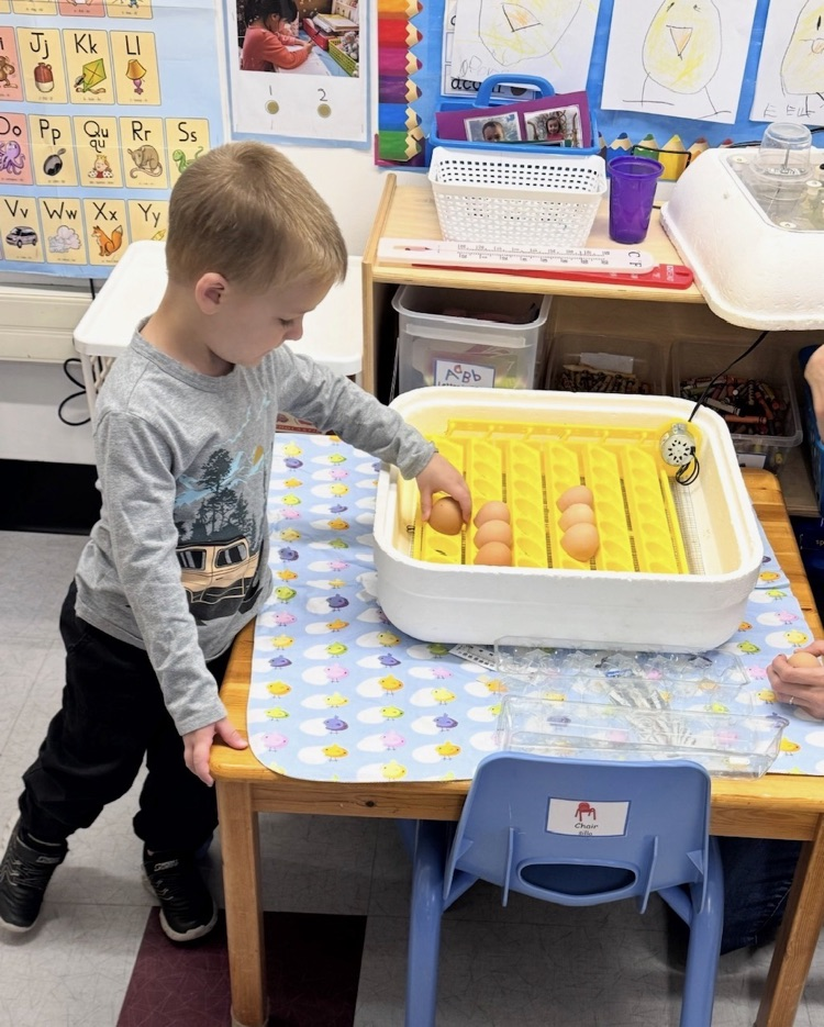 prek