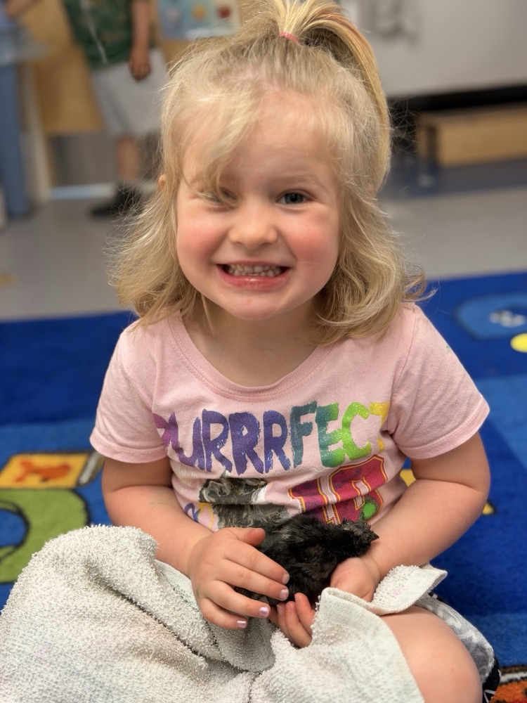 prek