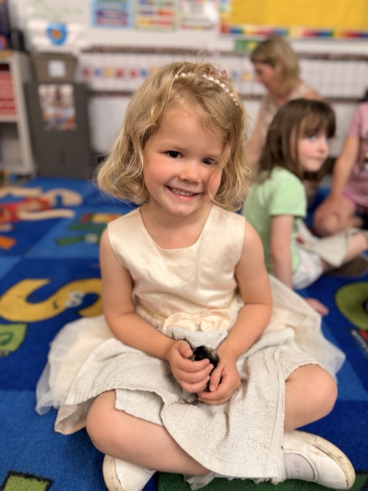 prek
