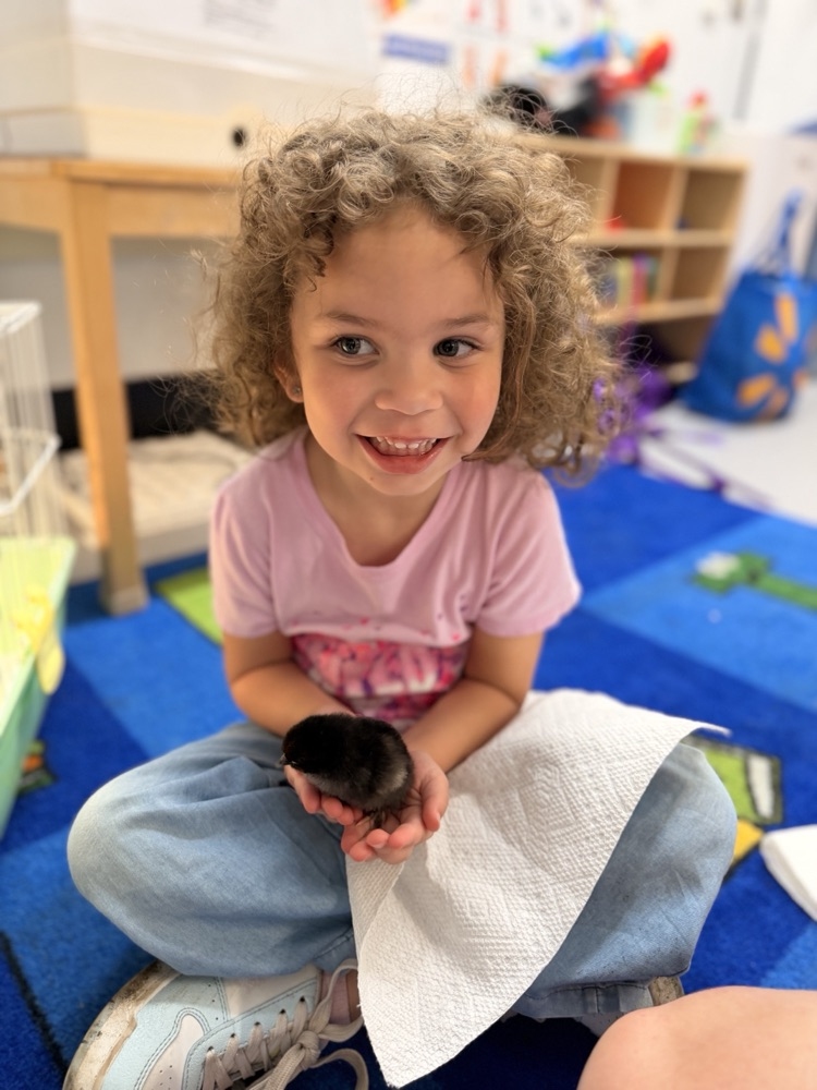 prek