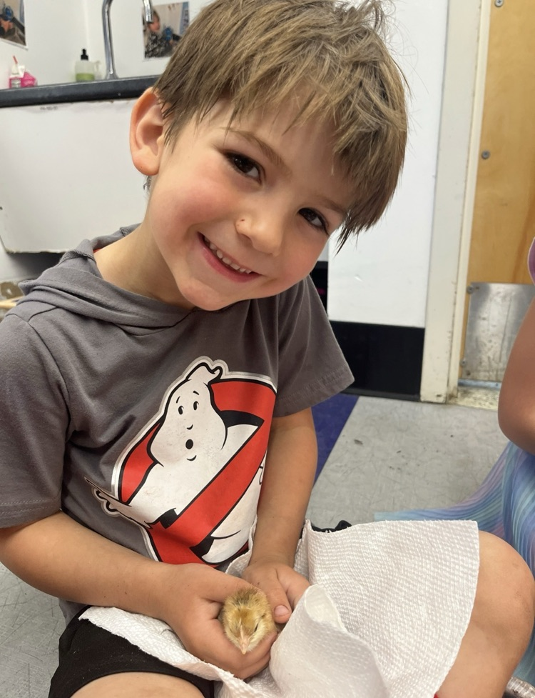prek
