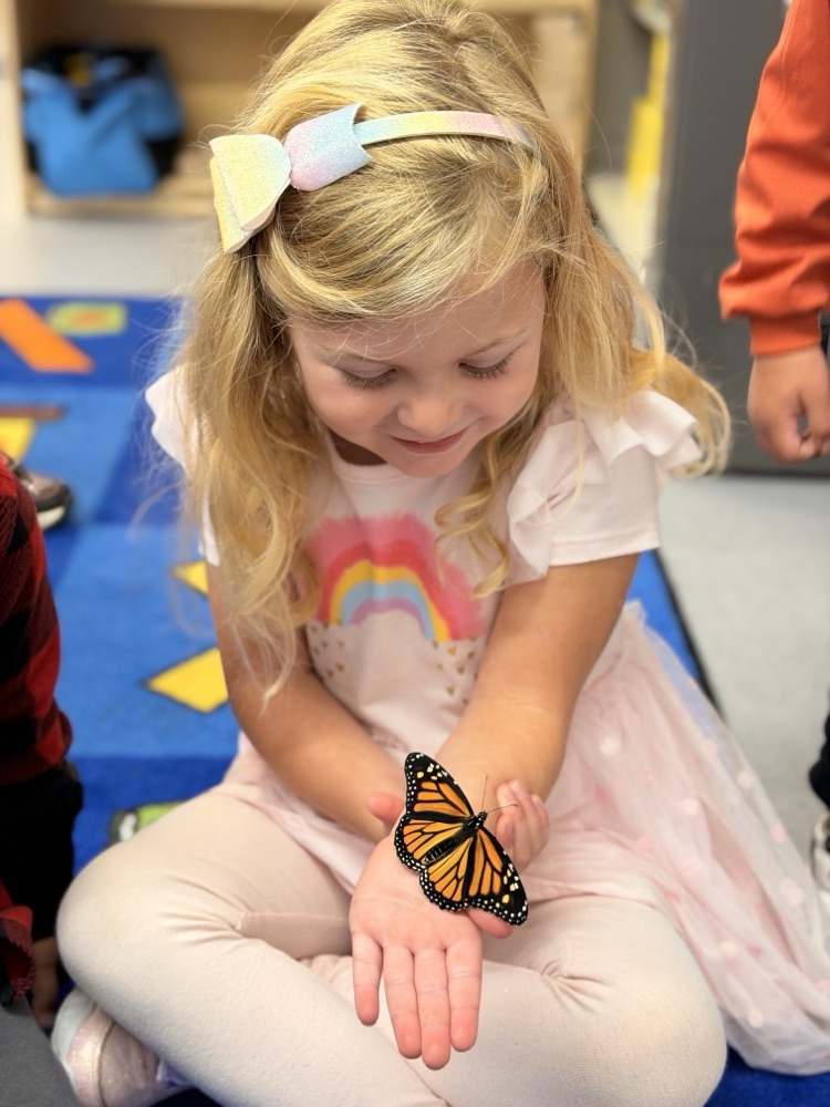 prek