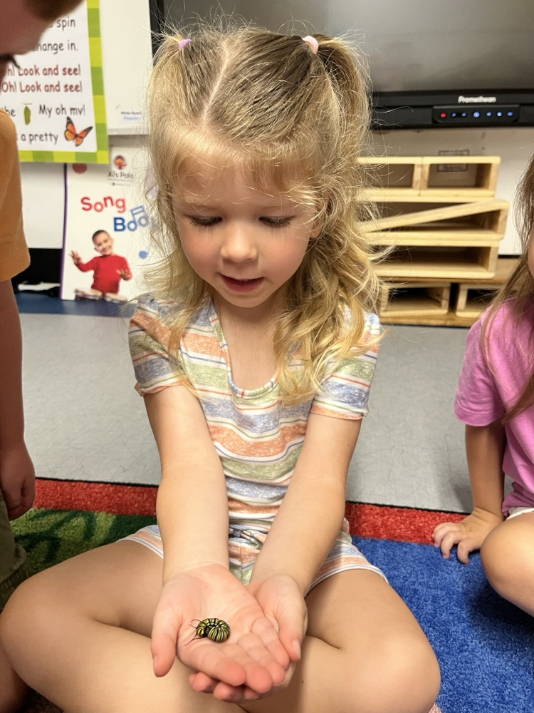 PreK