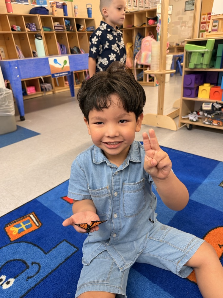 PreK