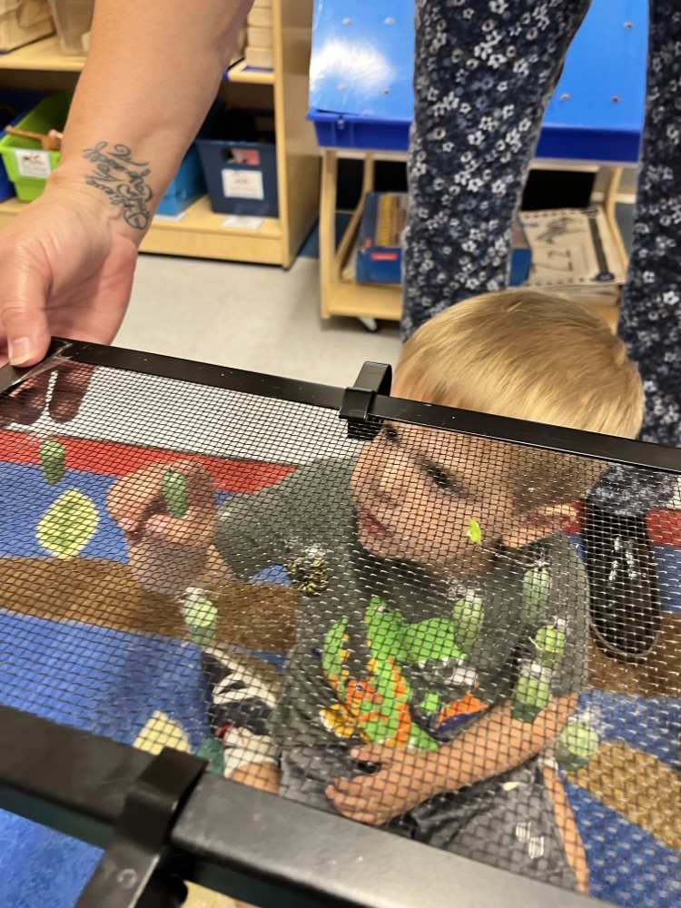 PreK