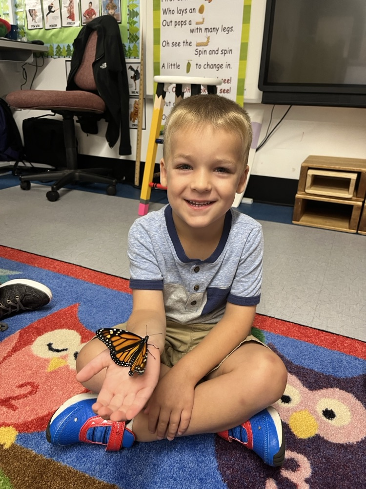 PreK