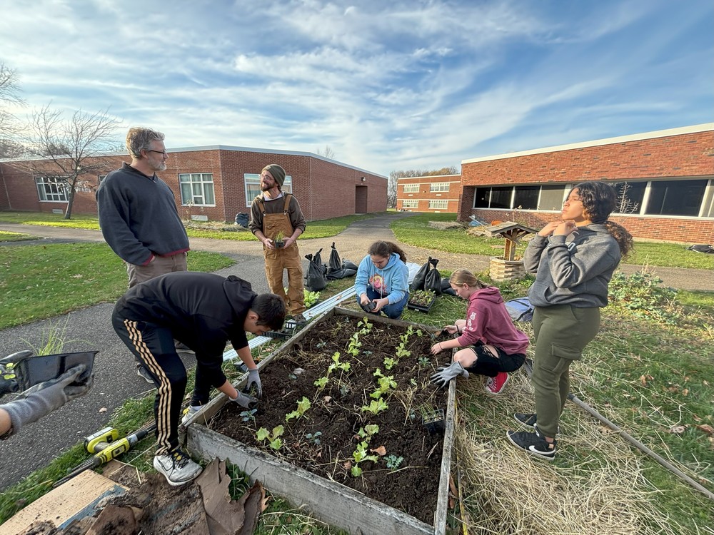 Planting Winter Garden