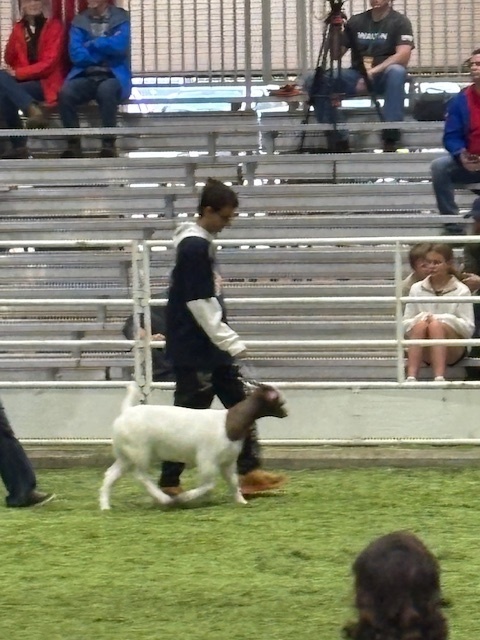State Fair - Special Olympics - 2025