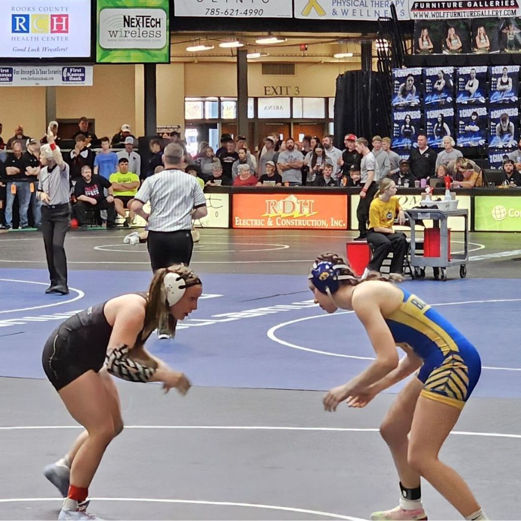 State wrestling 2026