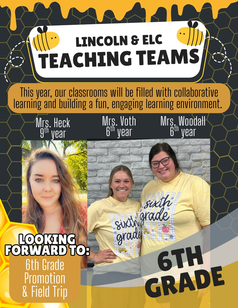 Teaching Teams