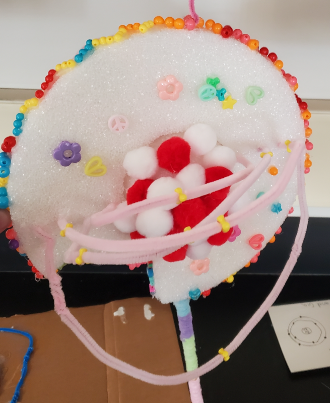 8th Grade Element Model