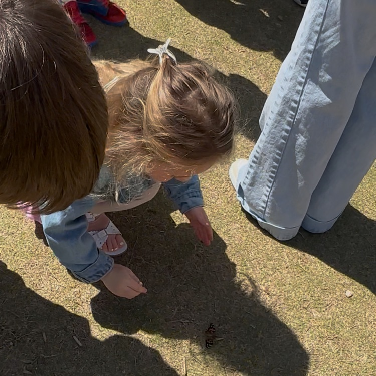 preschooler with butterfly