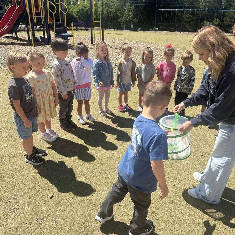 preschooler with butterflies