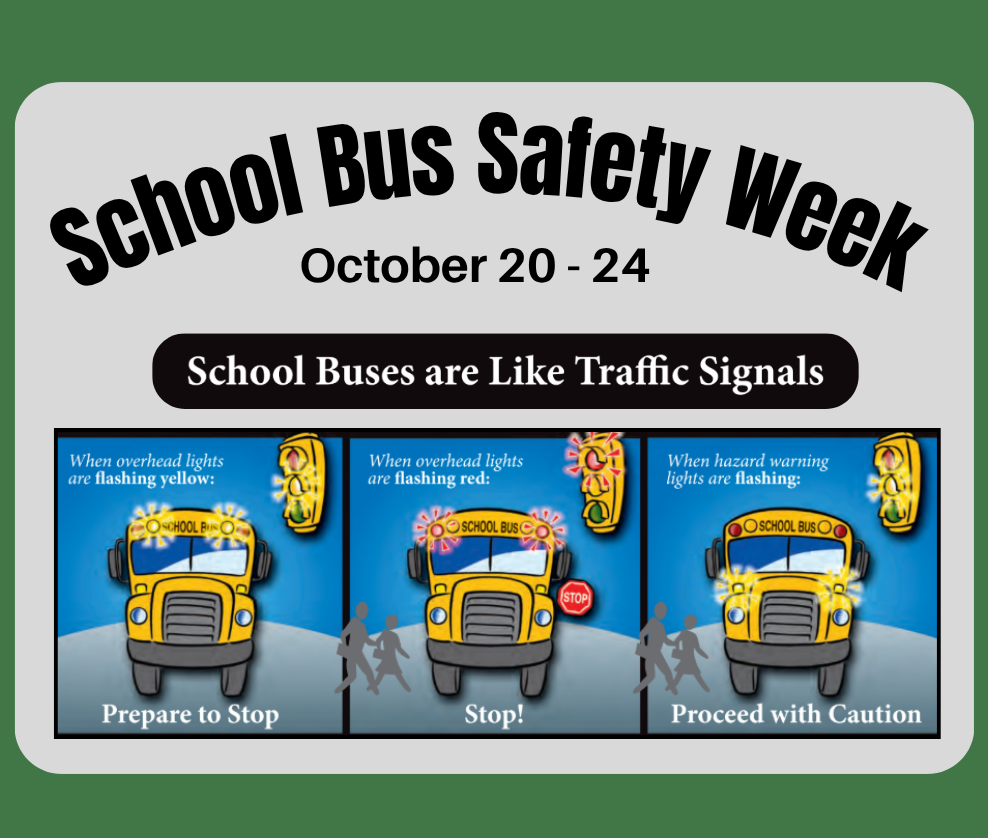 School Bus Safety