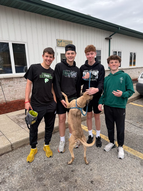 animal services day