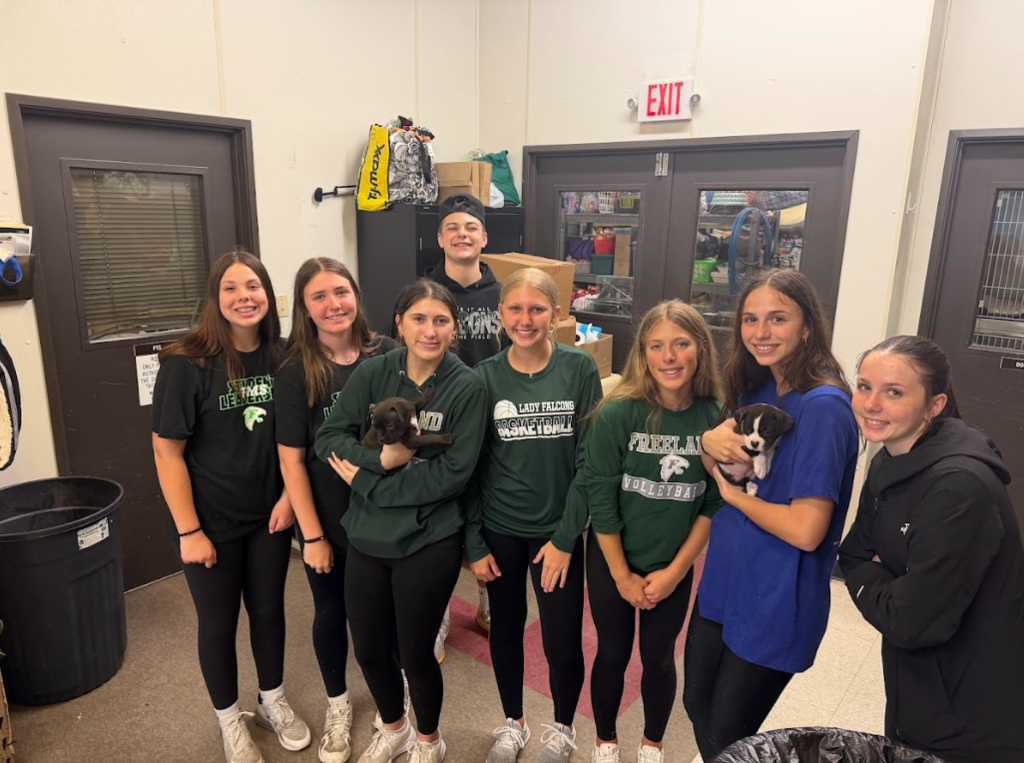animal services day