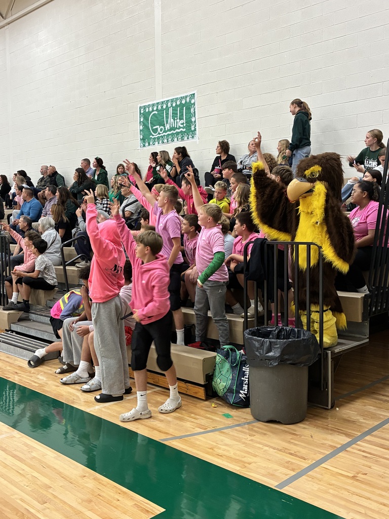 student section