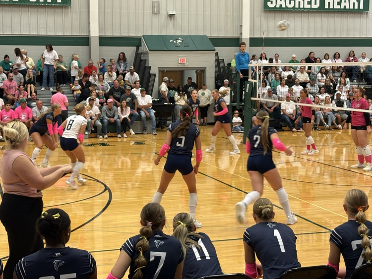 VB