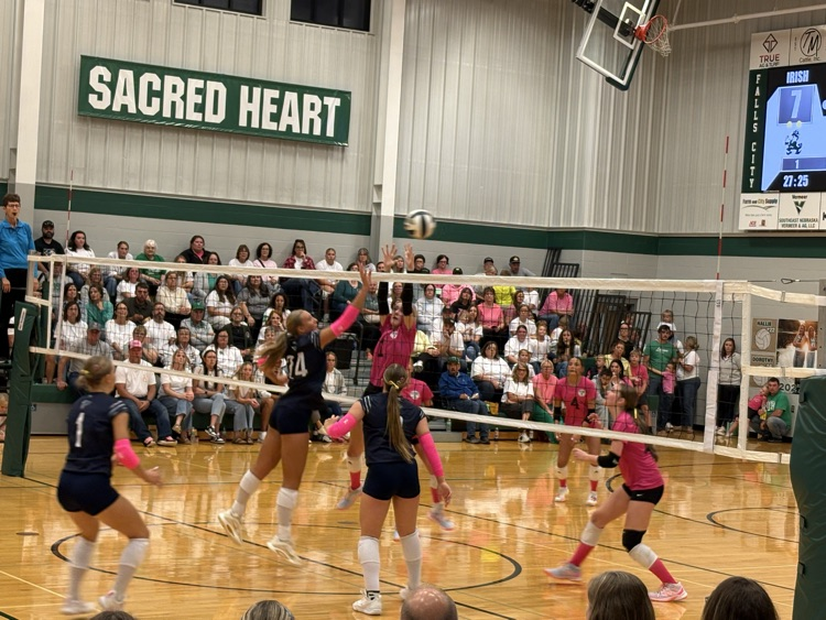 VB