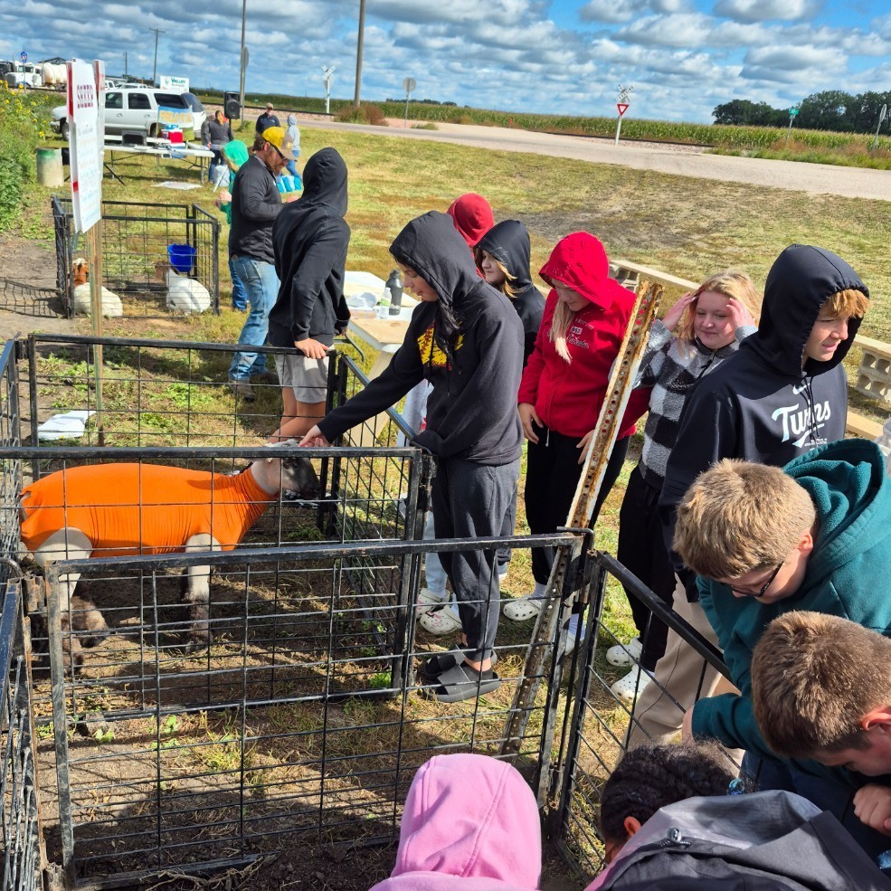 farm to table