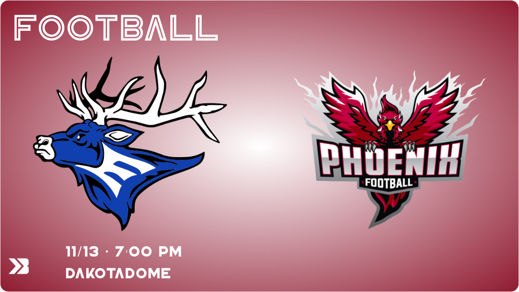 2025 State FB Championship game vs. Elkton-Lake Benton 11-13-25