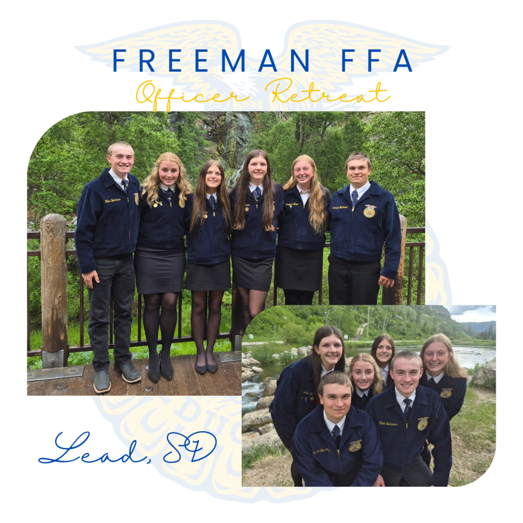 Ffa
