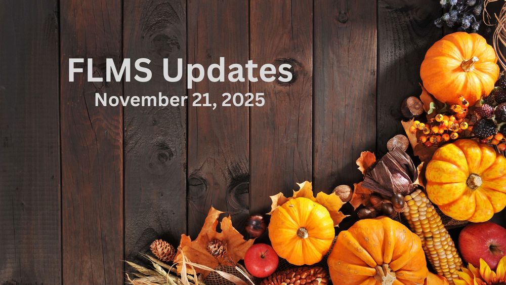 Pumpkins, berries, apples and fall leaves against a wood background.