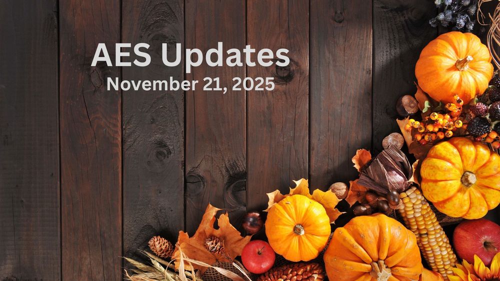 Pumpkins, berries, apples and fall leaves against a wood background.