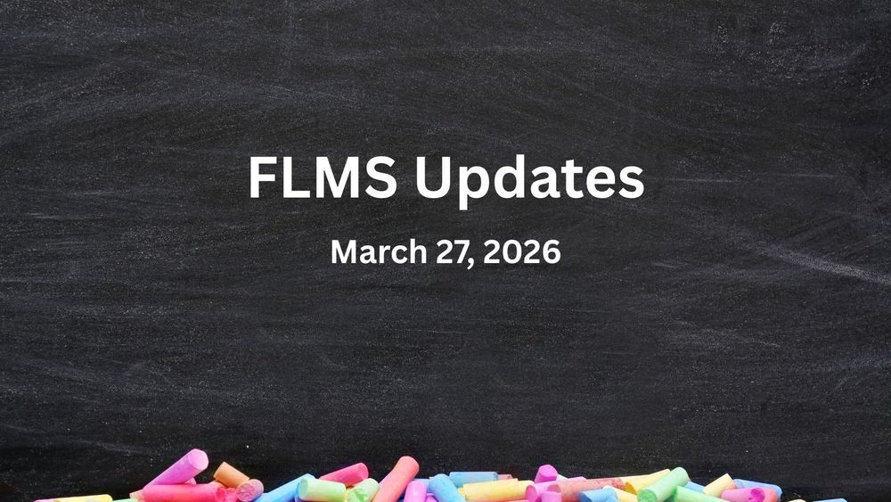 colorful chalk pieces against a chalkboard.