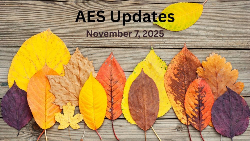 Colorful autumn leaves against a wooden background.