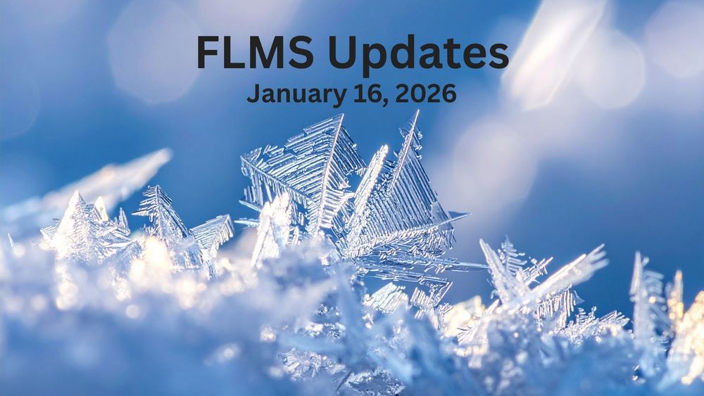 A close up of ice crystals.