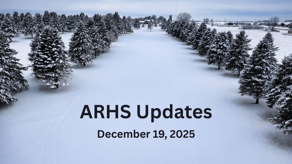 A field of snow covered pine trees.