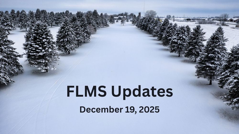 A field of snow covered pine trees.