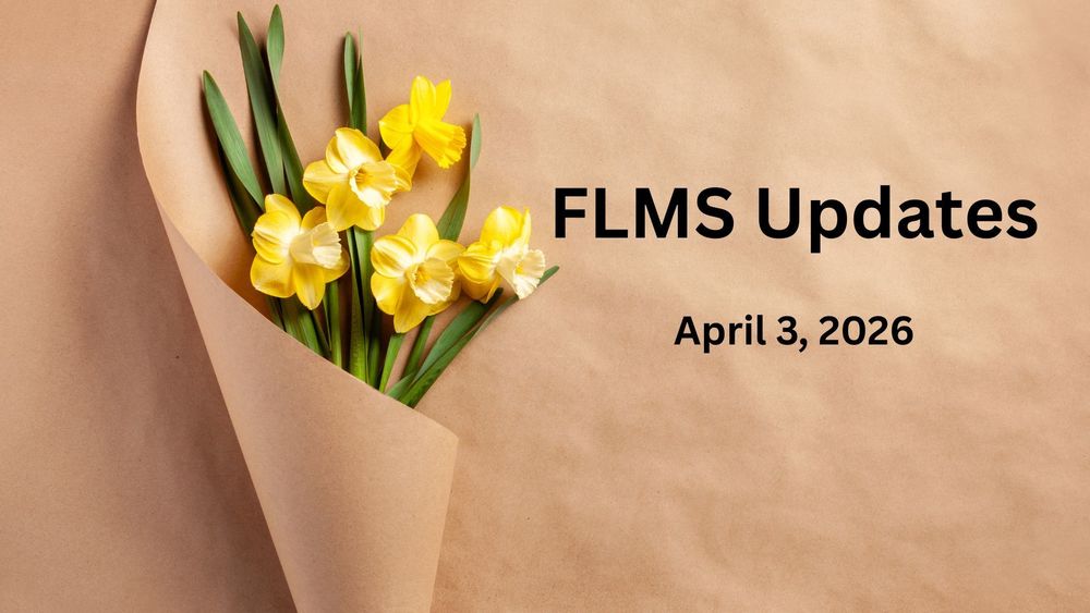 Five yellow daffodils wrapped in brown paper.