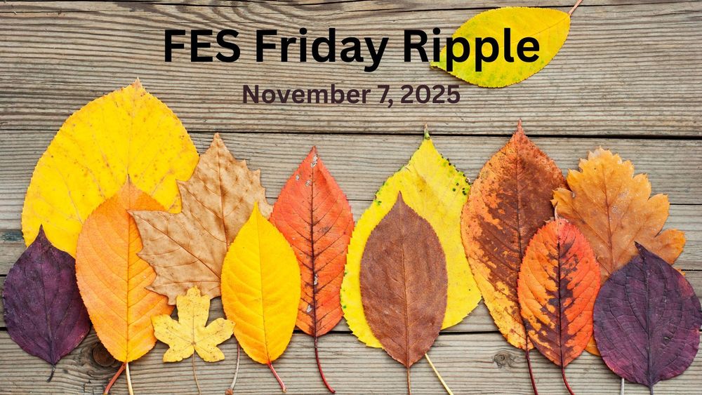 Colorful autumn leaves against a wooden background.