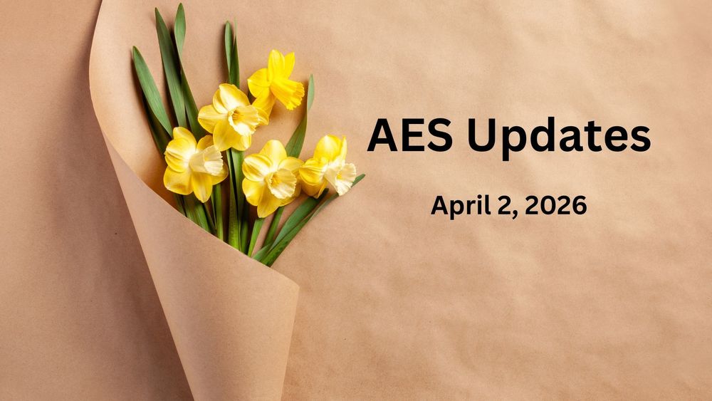 Five yellow daffodils wrapped in brown paper.