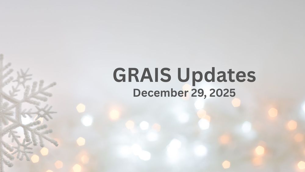 A large snowflake with glittery lights in the background.