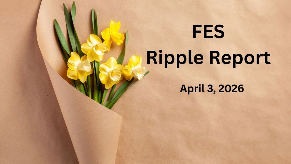 Five yellow daffodils wrapped in brown paper.