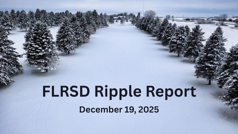 A field of snow covered pine trees.