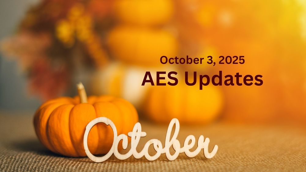 A small pumpkin with a wooden cutout word October and text of AES Updates, October 3, 2025.