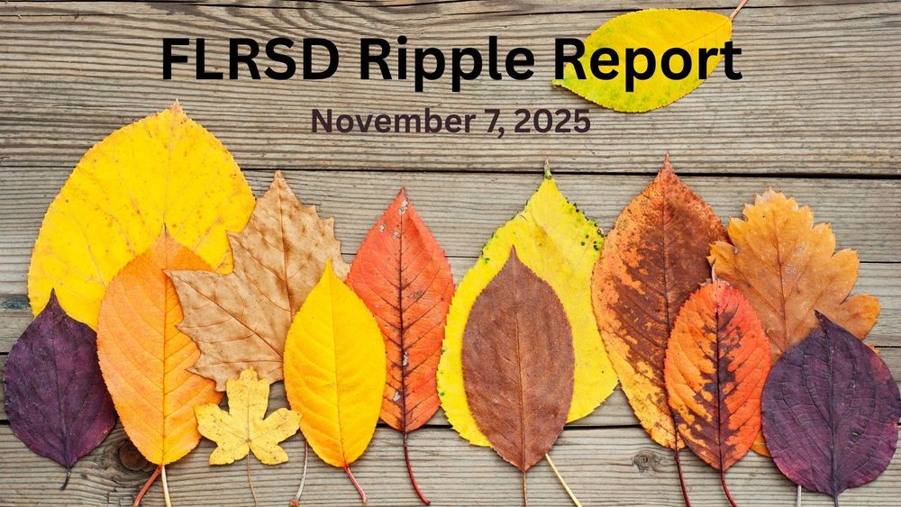 Colorful autumn leaves against a wooden background.