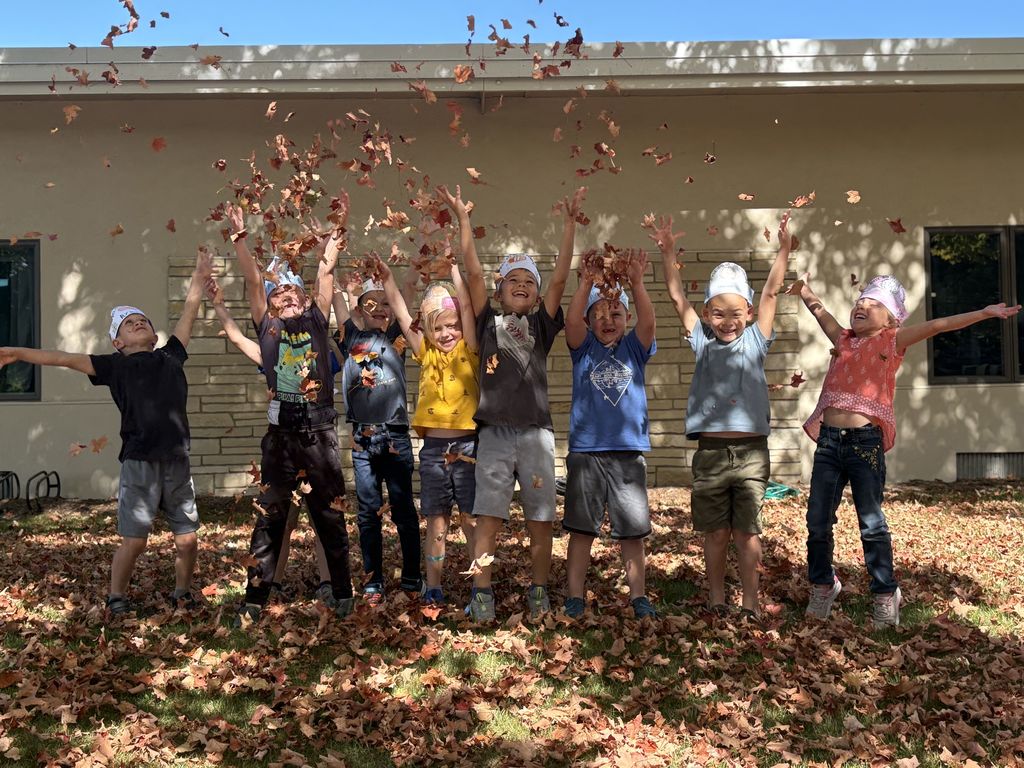 1SI fall leaves
