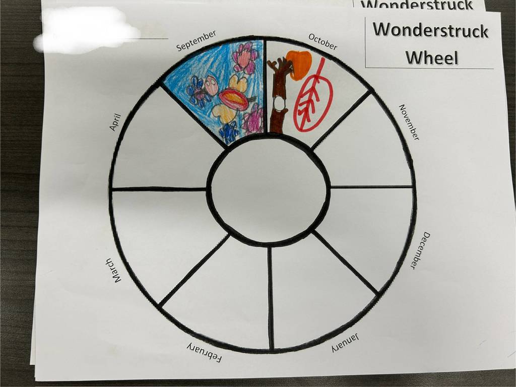 wonder wheel